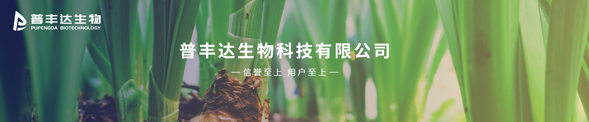 第一張輪播